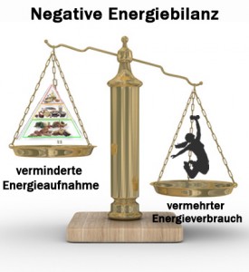 abnehmen nur mit negativer Energiebilanz
