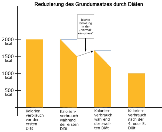 Reduzierung Grundumsatz bei Diäten